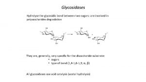 Glycosidases Hydrolyse the glycosidic bond between two sugars