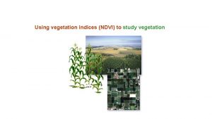 Using vegetation indices NDVI to study vegetation Chlorophyll