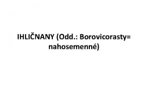 IHLINANY Odd Borovicorasty nahosemenn dreviny rozkonren kore stonka