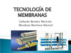 TECNOLOGA DE MEMBRANAS Gallardo Bentez Maricela Mendoza Martnez