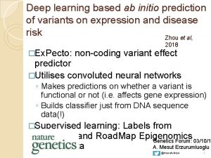 Deep learning based ab initio prediction of variants