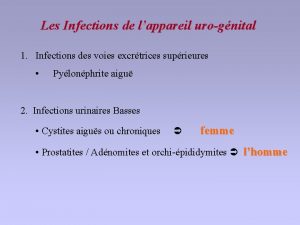 Les Infections de lappareil urognital 1 Infections des