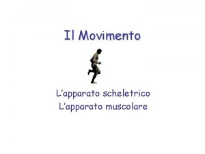 Il Movimento Lapparato scheletrico Lapparato muscolare Il Movimento