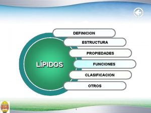 DEFINICION ESTRUCTURA PROPIEDADES LPIDOS FUNCIONES CLASIFICACION OTROS 1