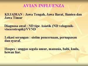 AVIAN INFLUENZA KEJADIAN Jawa Tengah Jawa Barat Banten