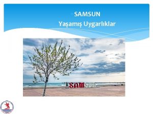 SAMSUN Yaam Uygarlklar GAKALAR lkada Orta Karadenizde yaam