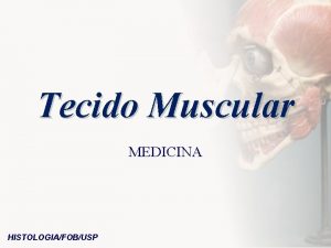 Tecido Muscular MEDICINA HISTOLOGIAFOBUSP O sistema muscular do