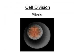 Cell Division Mitosis Mitosis Mitosis is just one