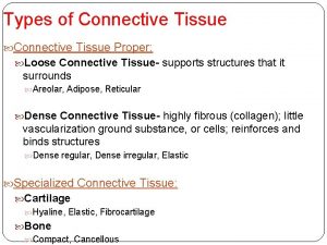 Specialized connective tissues