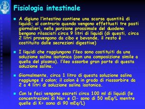 Fisiologia intestinale n n A digiuno lintestino contiene