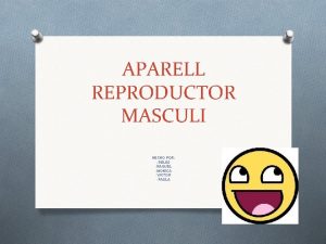 APARELL REPRODUCTOR MASCULI HECHO POR GELES RAQUEL MONICA