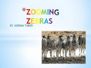 ZOOMIN ZEBRAS BY JORDAN TABER A zebras food