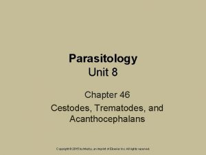 Parasitology Unit 8 Chapter 46 Cestodes Trematodes and