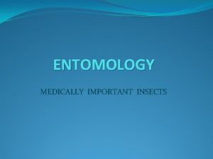 ENTOMOLOGY MEDICALLY IMPORTANT INSECTS In common the medically