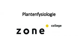 Plantenfysiologie Zaden INTRODUCTIE Zelf zaden winnen en schonen