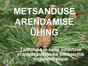 METSANDUSE ARENDAMISE HING Tartumaa ja selle mbruse erametsaomanike