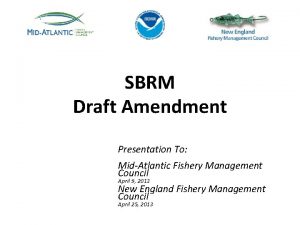 SBRM Draft Amendment Presentation To MidAtlantic Fishery Management