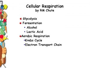 Cellular Respiration by RM Chute Glycolysis Fermentation Alcohol
