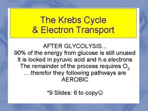 The Krebs Cycle Electron Transport AFTER GLYCOLYSIS 90