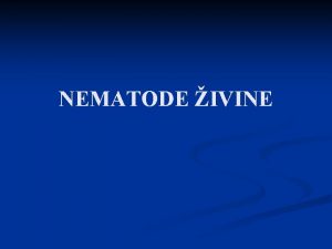 NEMATODE IVINE n Nematode su najzastupljeniji i najvaniji