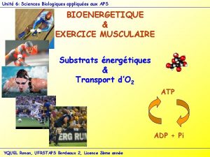 Unit 6 Sciences Biologiques appliques aux APS BIOENERGETIQUE