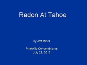 Radon At Tahoe by Jeff Miner Pine Wild