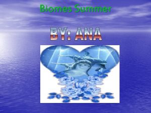 Biomes Summer The tropical Forest The tropical forest