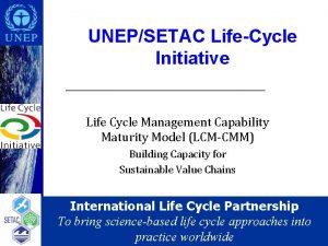 UNEPSETAC LifeCycle Initiative Life Cycle Management Capability Maturity