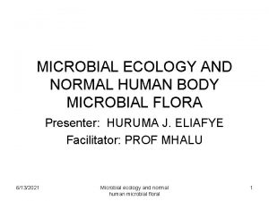 MICROBIAL ECOLOGY AND NORMAL HUMAN BODY MICROBIAL FLORA