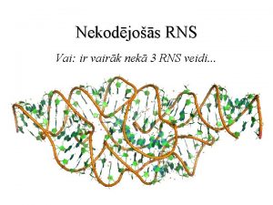 Nekodjos RNS Vai ir vairk nek 3 RNS