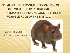 MEDIAL PREFRONTAL CTX CONTROL OF THE PVN OF