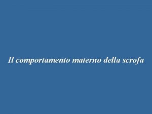 Il comportamento materno della scrofa La costruzione del