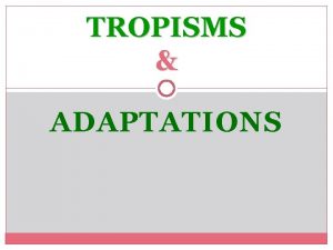 TROPISMS ADAPTATIONS Tropisms A TROPISM IS A PLANTS