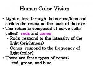 Human Color Vision Light enters through the cornealens