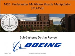 MSD Underwater Mc Kibben Muscle Manipulator P 14253