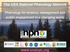 The USA National Phenology Network Phenology for science