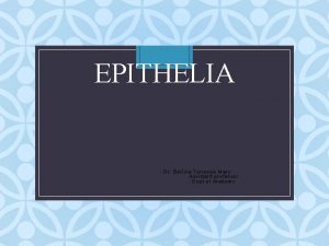 EPITHELIA Dr Berlina Terrence Mary Assistant professor Dept