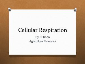 Cellular Respiration By C Kohn Agricultural Sciences In