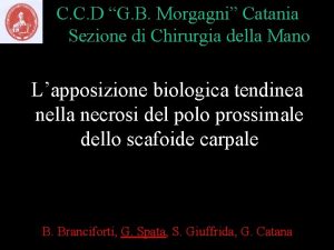 C C D G B Morgagni Catania Sezione