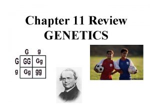 Chapter 11 Review GENETICS Heterozygous person who does