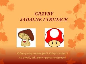 GRZYBY JADALNE I TRUJCE Ktre grzyby mona je