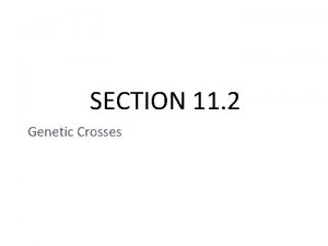 SECTION 11 2 Genetic Crosses I Genotype and