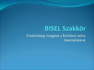 BISEL Szakkr Vizminsg vizsglat a biotikus index hasznlatval