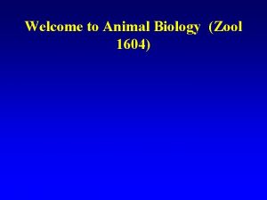 Welcome to Animal Biology Zool 1604 Zool 1604