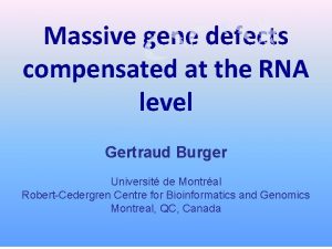 Massive gene defects compensated at the RNA level