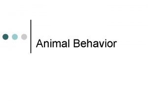 Animal Behavior What is behavioral ecology Behavioral ecology