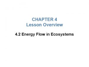 Chapter 4 lesson 2 energy flow in ecosystems