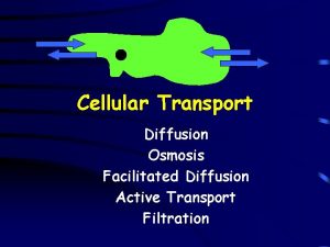 Cellular Transport Diffusion Osmosis Facilitated Diffusion Active Transport