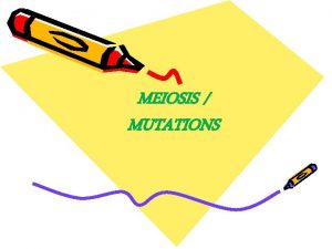 MEIOSIS MUTATIONS 1 What is meiosis Mitosis Meiosis