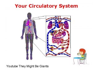 Your Circulatory System Youtube They Might Be Giants